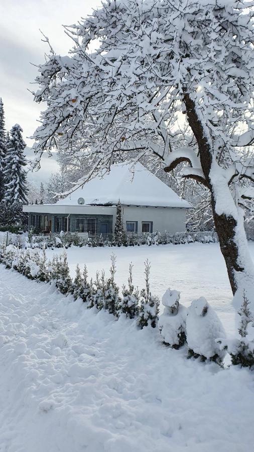 Bambu Lodge @ Ossiachersee Bodensdorf Zewnętrze zdjęcie